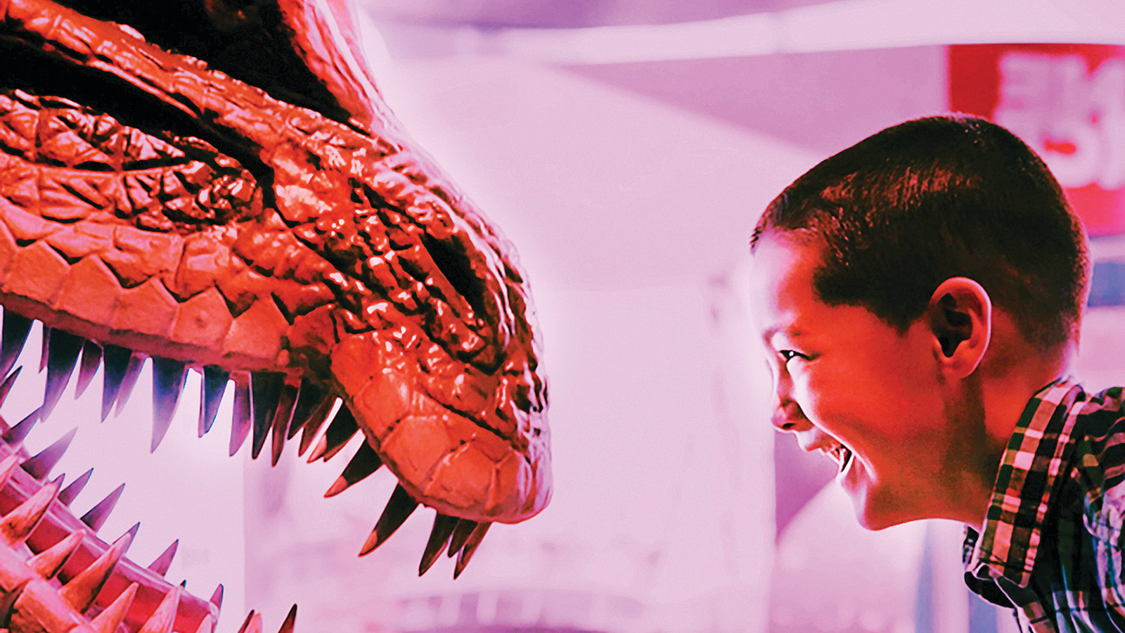 Boy & Dinosaur