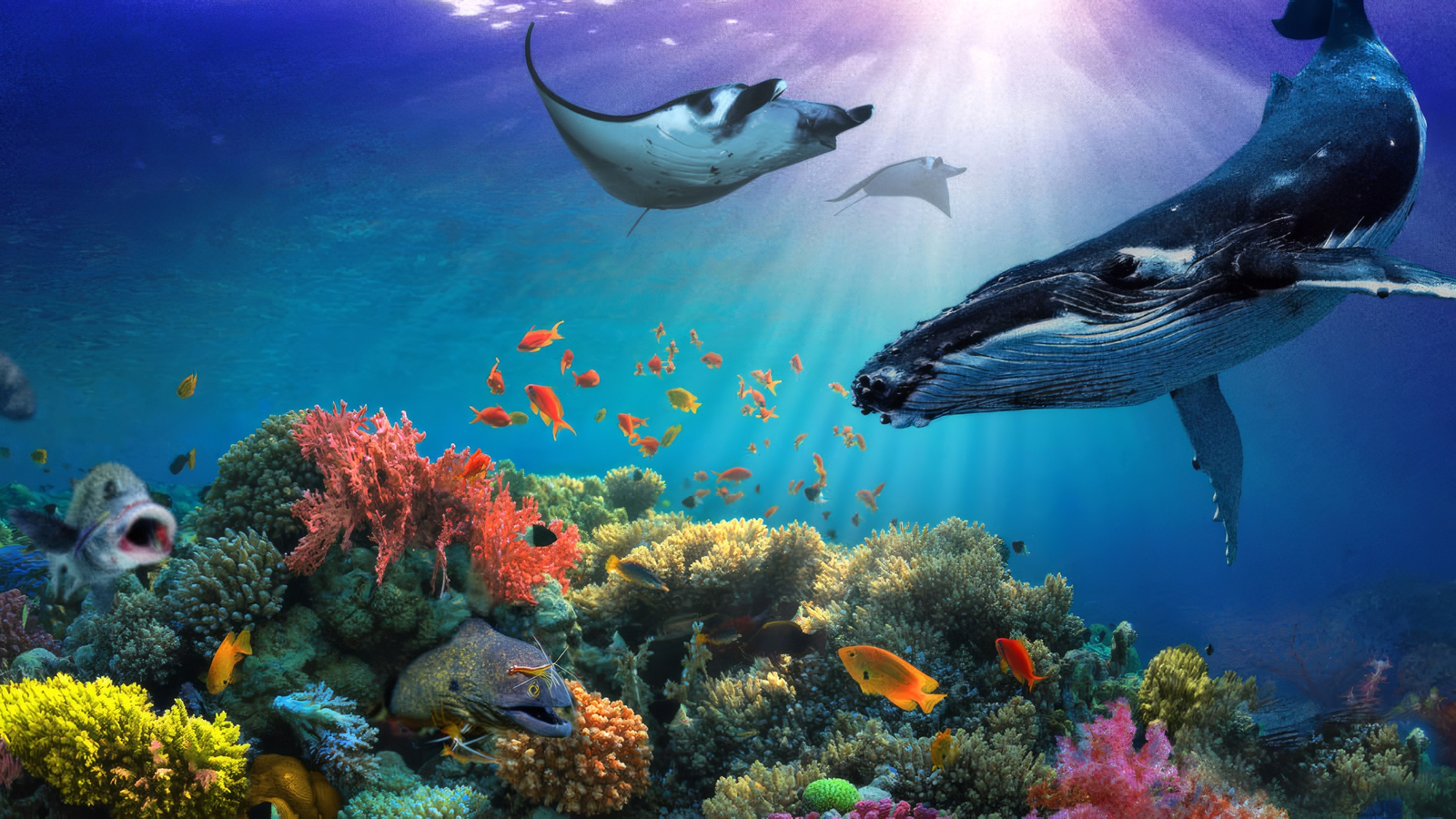 Secrets of the Sea