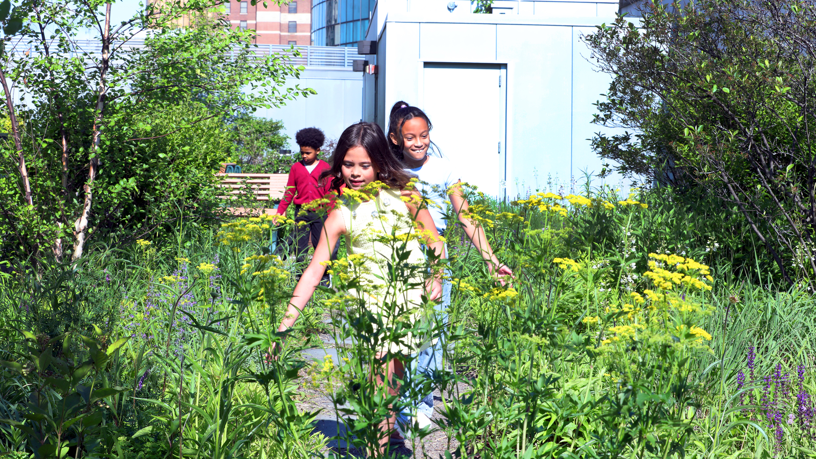 Kids rooftop Garden