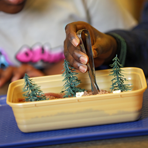 3-5 Lab Programs - Powerhouse