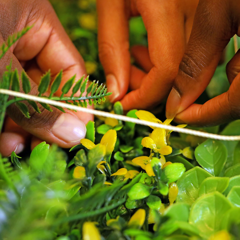 6-8 Lab Programs - Biodiversity Explorers - Hero