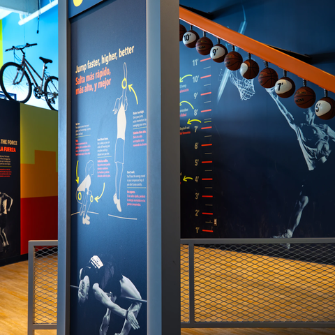 Sports Lab