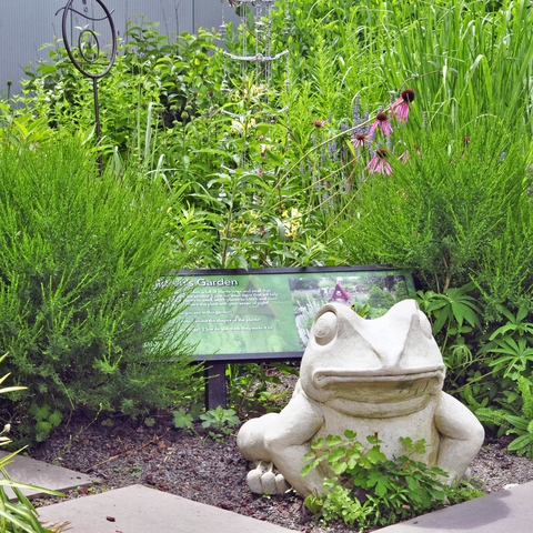 Children's Garden