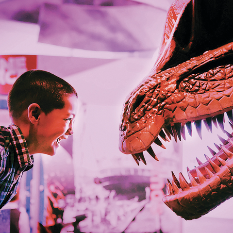 Dinosaur & Boy