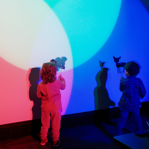 Forest of Illusions Kids Multicolor