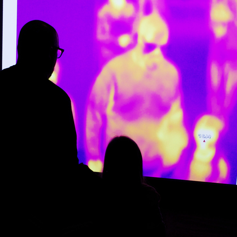 Forest of Illusions - Dad and Daughter