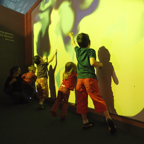 Forest of Illusions Kids Wall