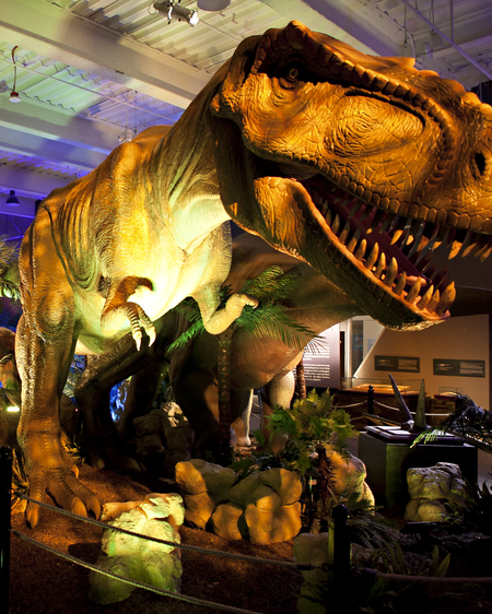 Dinosaur Gallery