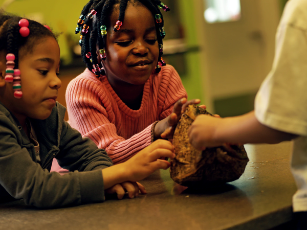 K-2 Lab Programs - Need for Seed