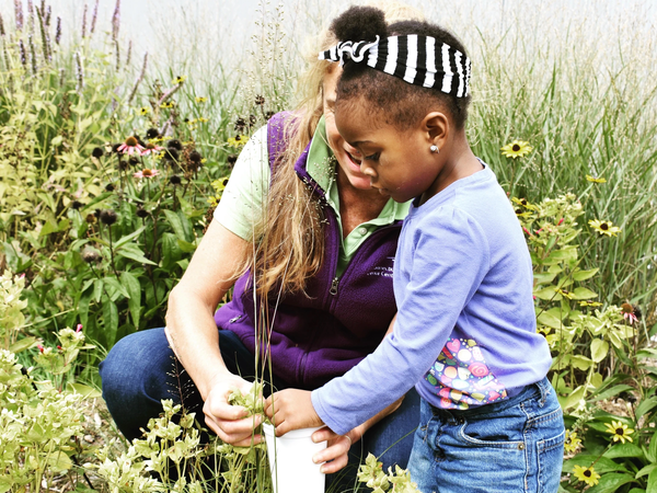 Butterfly Encounter Caregiver