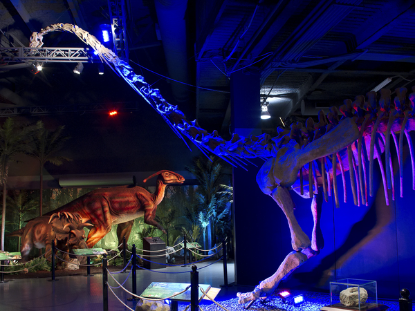 Dinosaurs in dark