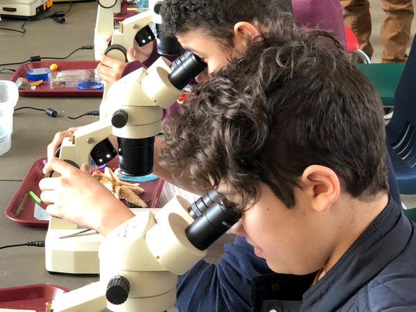 Teen Science Cafe Microscope Group
