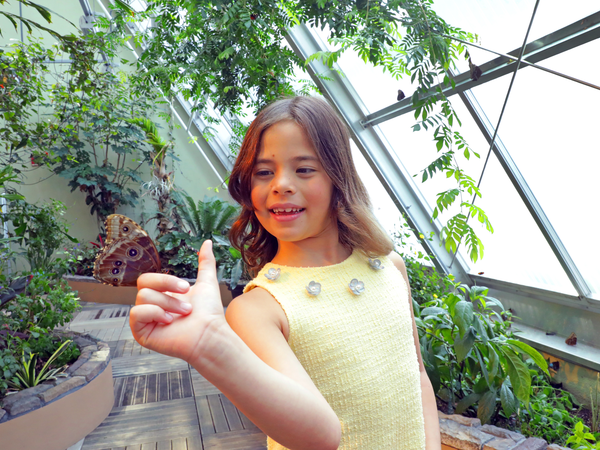 Girl in Butterfly Garden