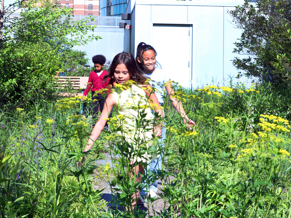 Kids rooftop Garden