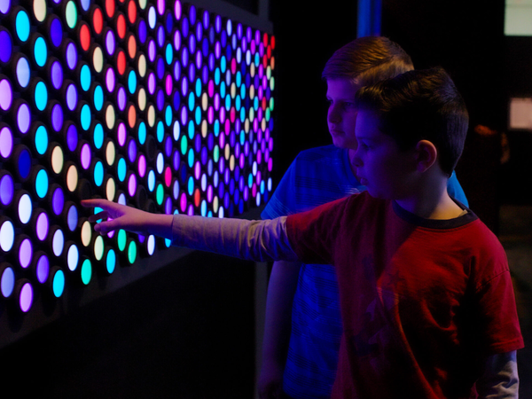 Forest of Illusions Lightboard