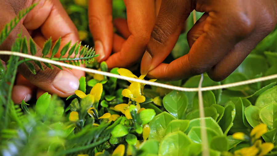 6-8 Lab Programs - Biodiversity Explorers - Hero