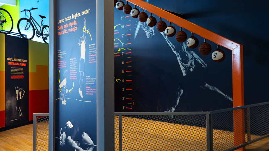 Sports Lab