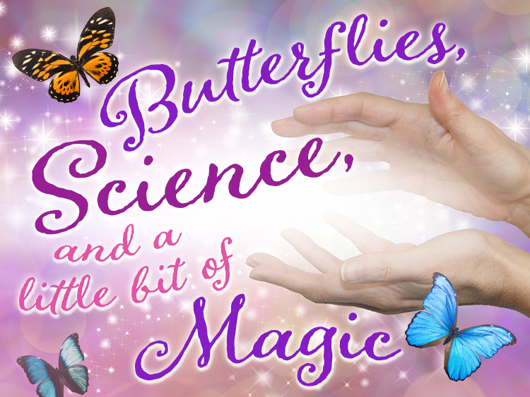 Butterflies, Science and a Little Bit of Magic