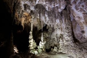 Virtual Field Trip: Carlsbad Caverns National Park