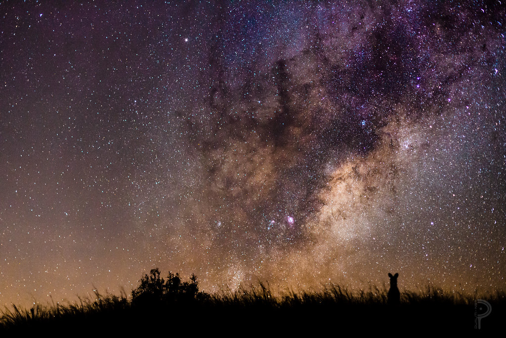 Your Very First Stargazing Trip