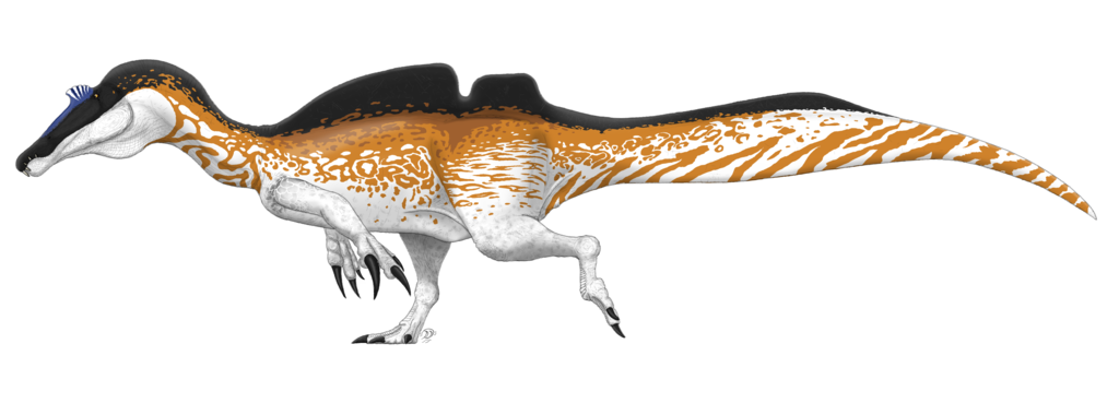 Ichthyovenator laosensis vs Tiger Shark - Bestiary