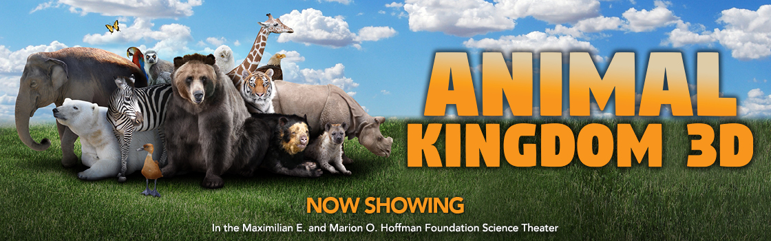 Animal Kingdom (3D) - Connecticut Science Center